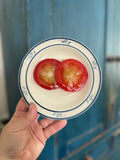Tomato Slices- Fake Food Plate
