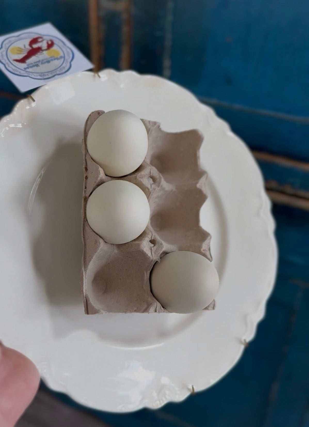 Fake Food Plate- 3 eggs in an egg carton