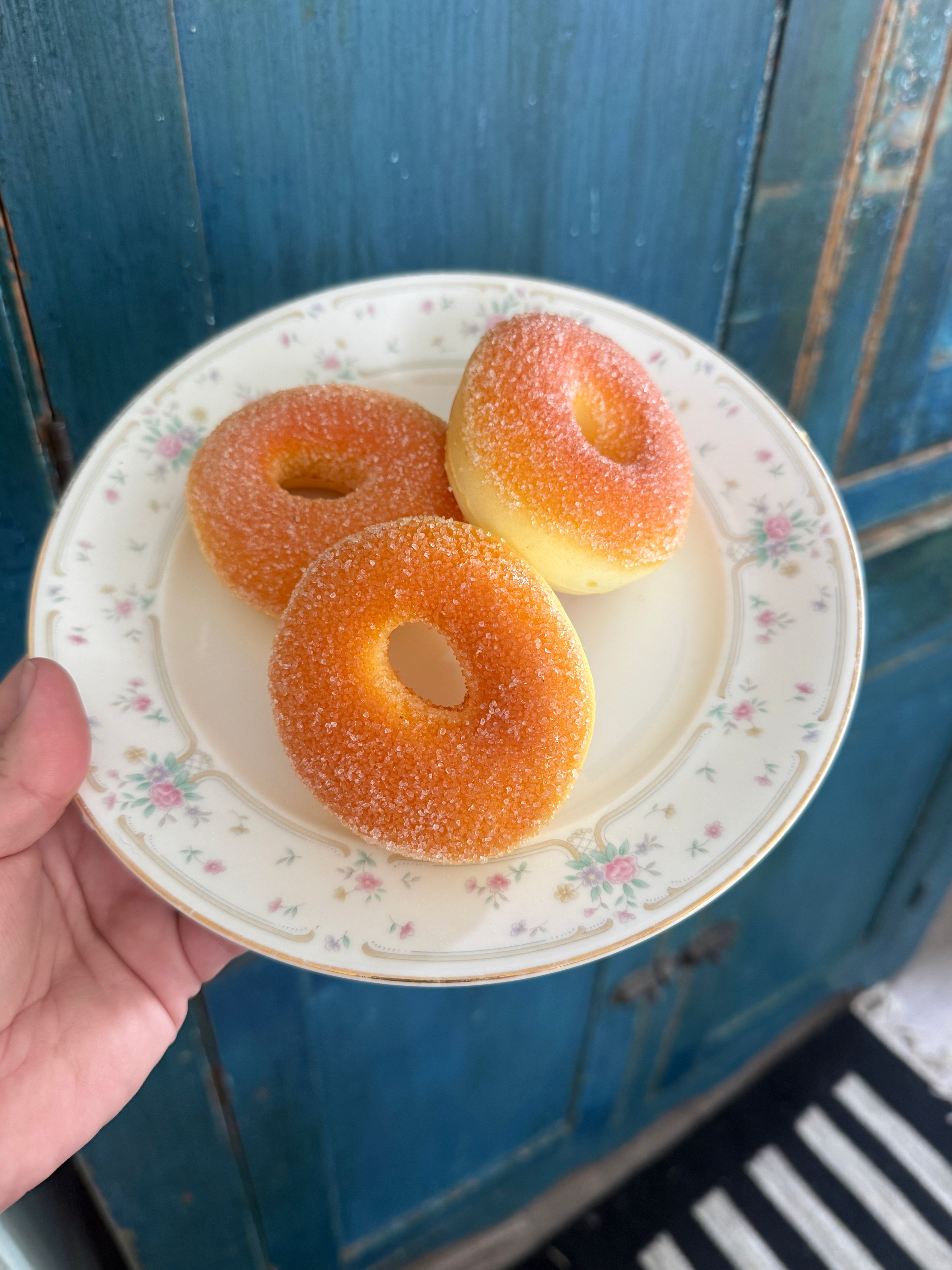 Fake Food Plate- Donuts