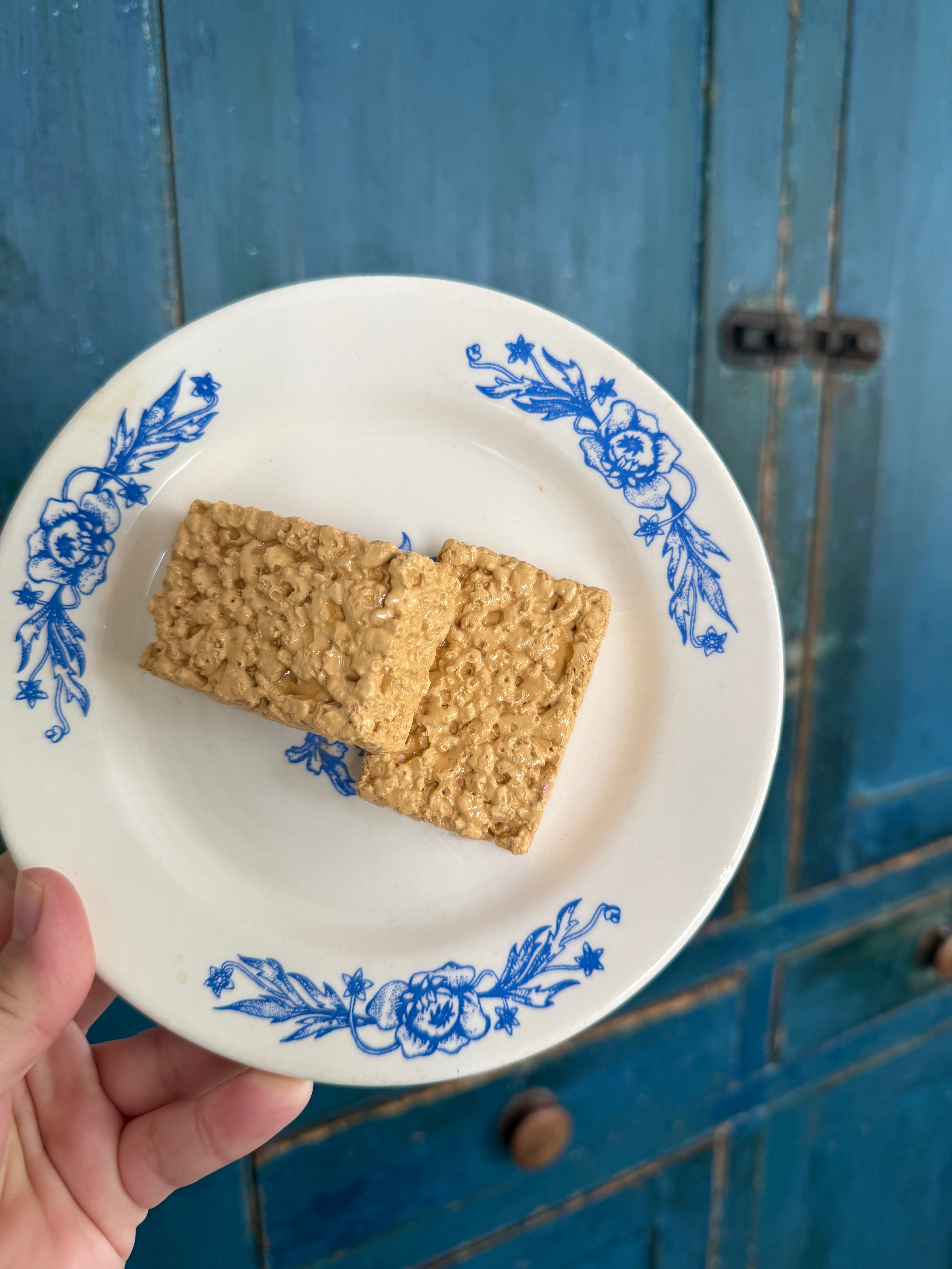 Fake Food Plate- Rice Krispie Treats
