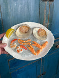 Seafood Fake Food Plate