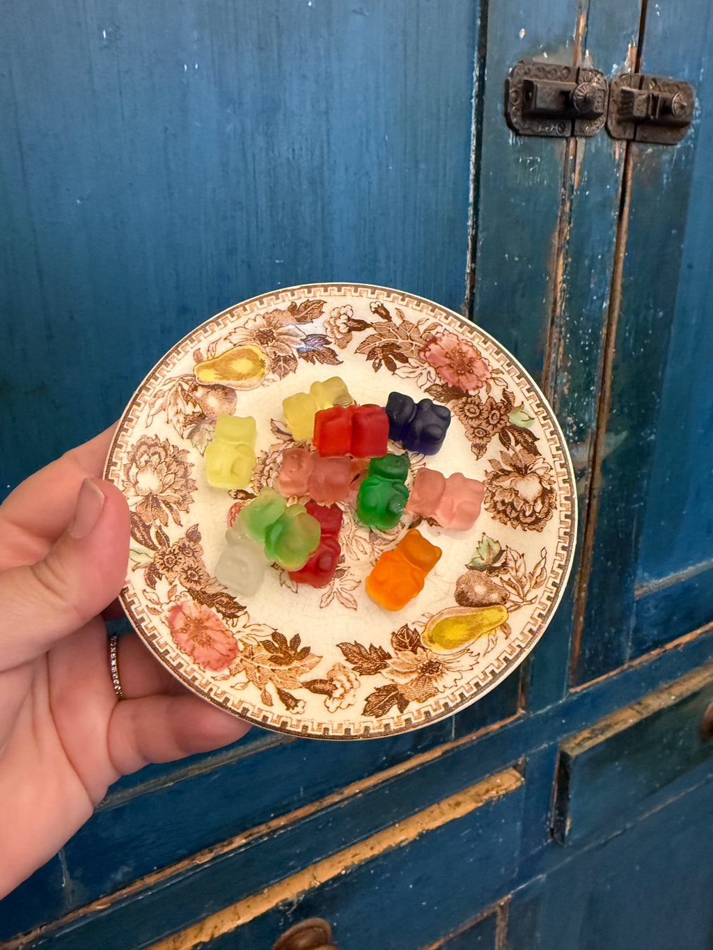 Gummy Bear- Brown Transferware
