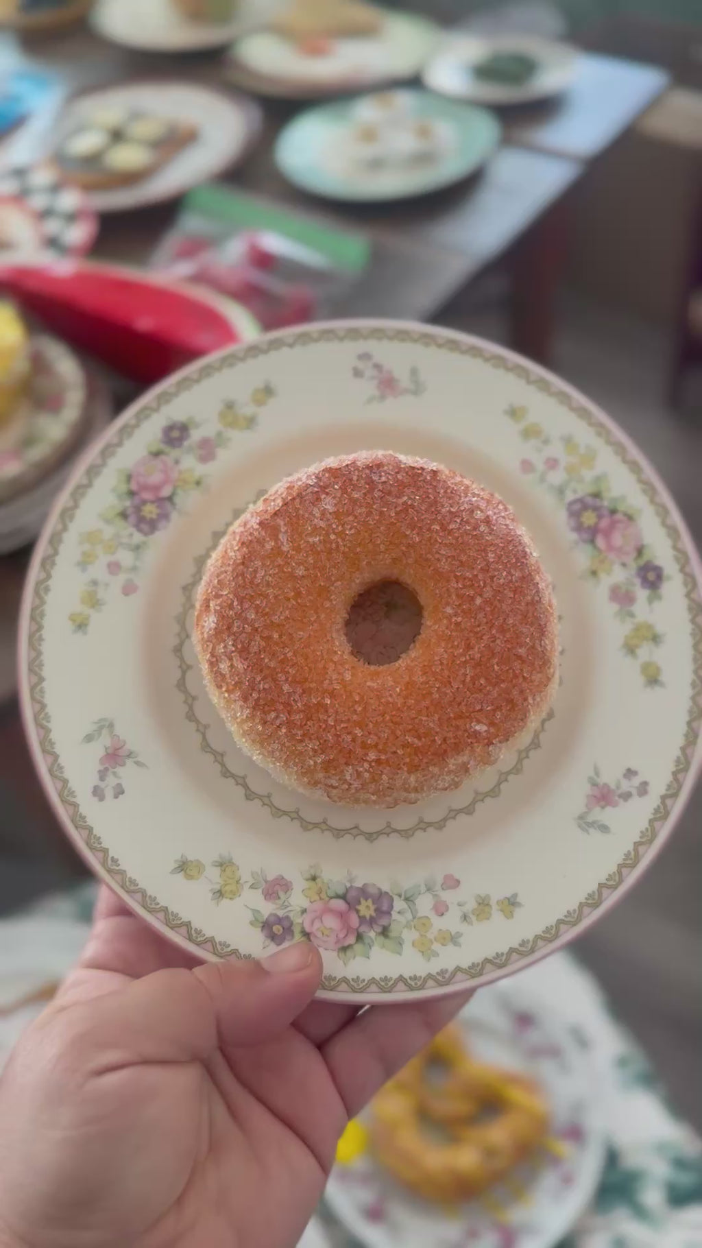 Set of 5 Fake Food Plates