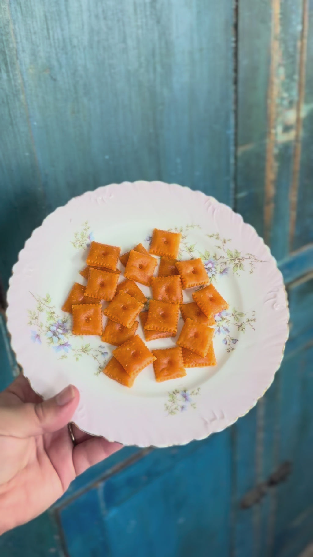 Cheese Crackers Fake Food Plate