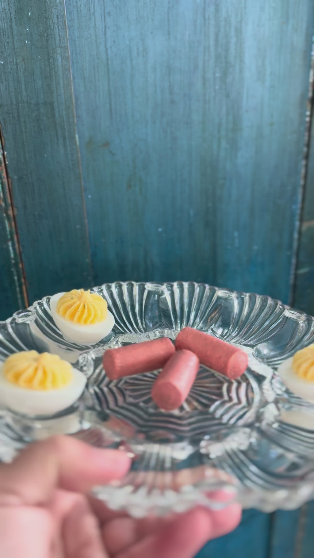 Fake Food Plate- Clear Deviled Egg Tray