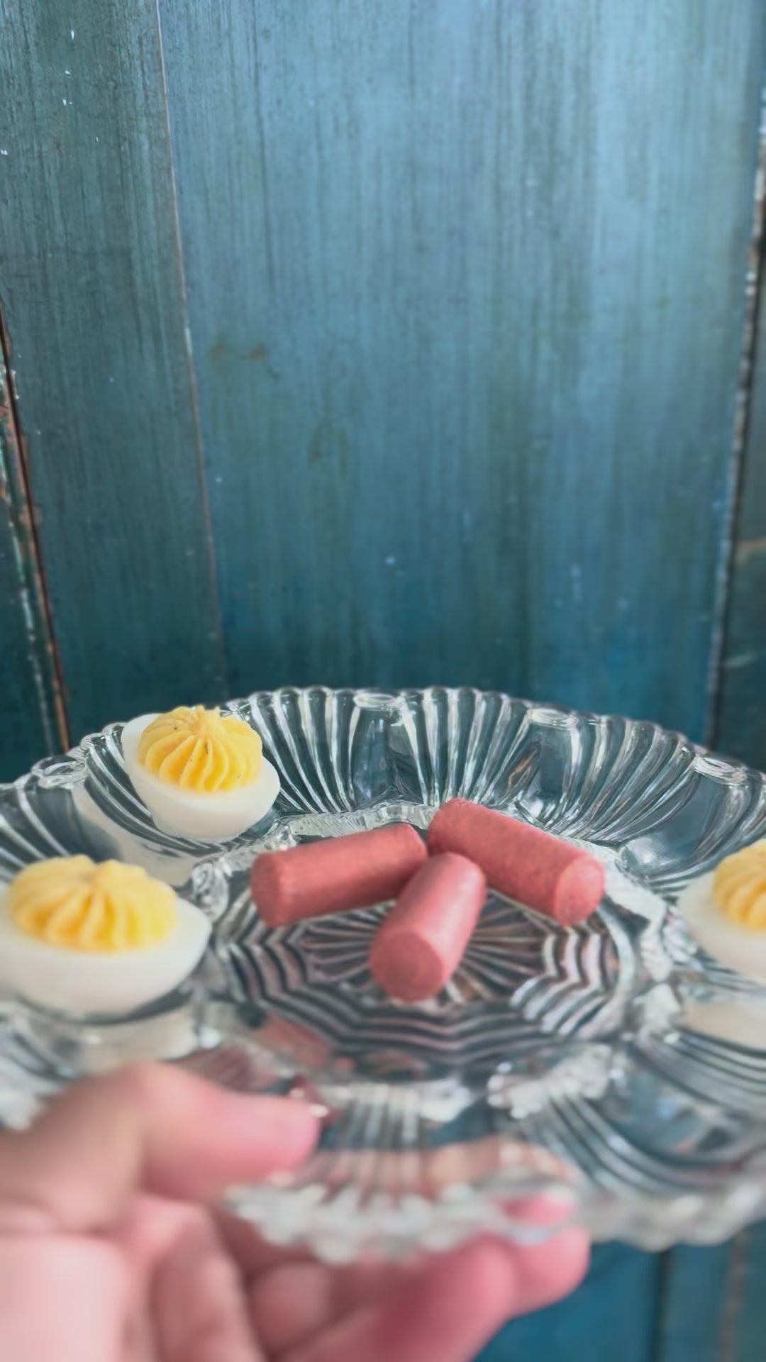 Fake Food Plate- Clear Deviled Egg Tray