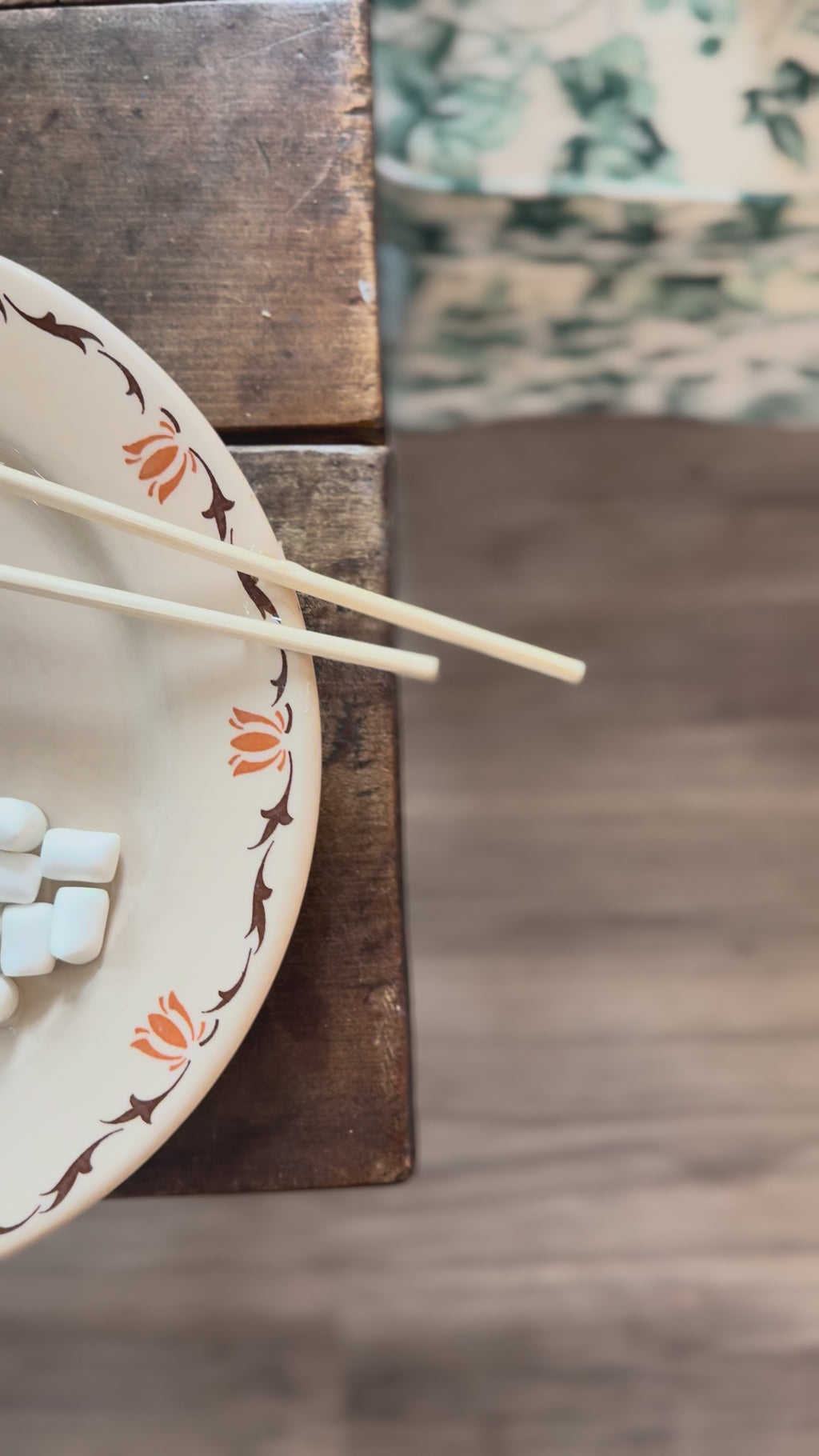 Fake food plate- Smores