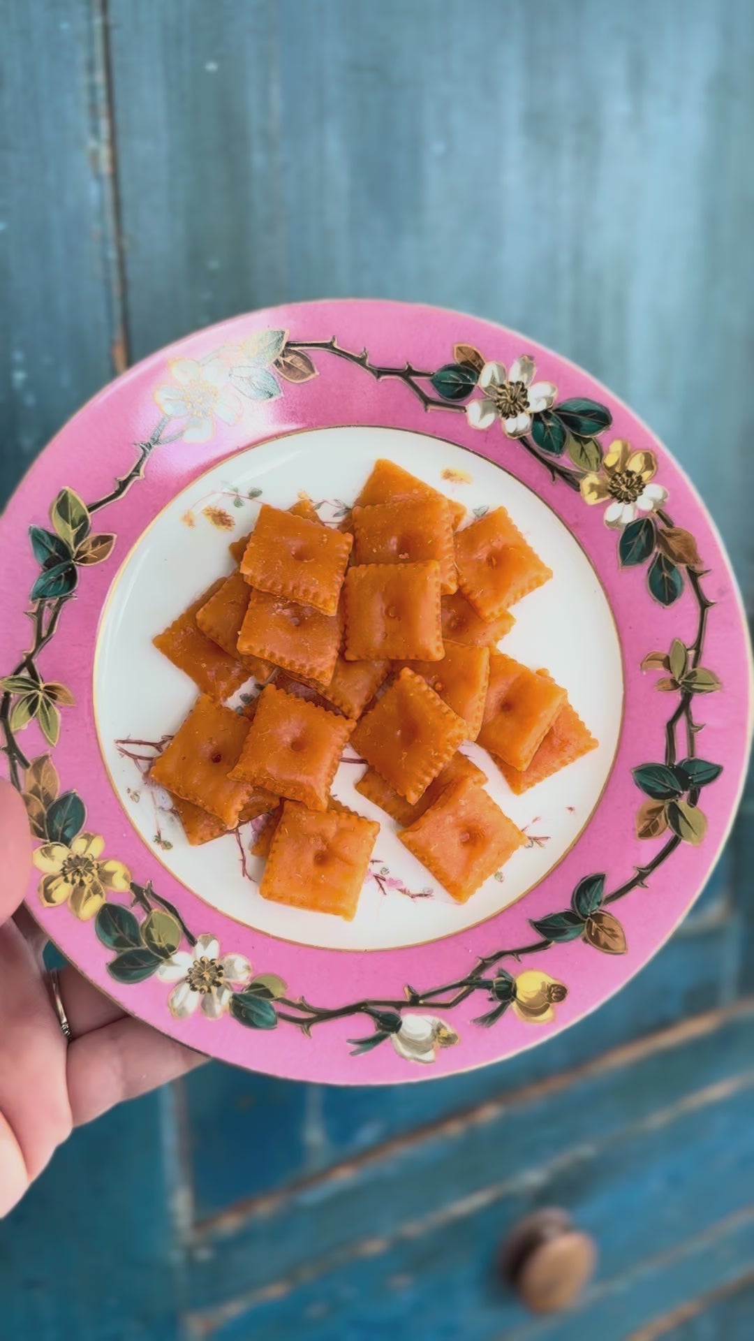 Cheese crackers fake food plate