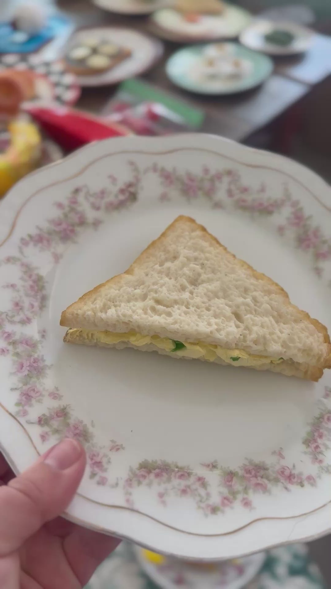 Set of 5 Fake Food Plates