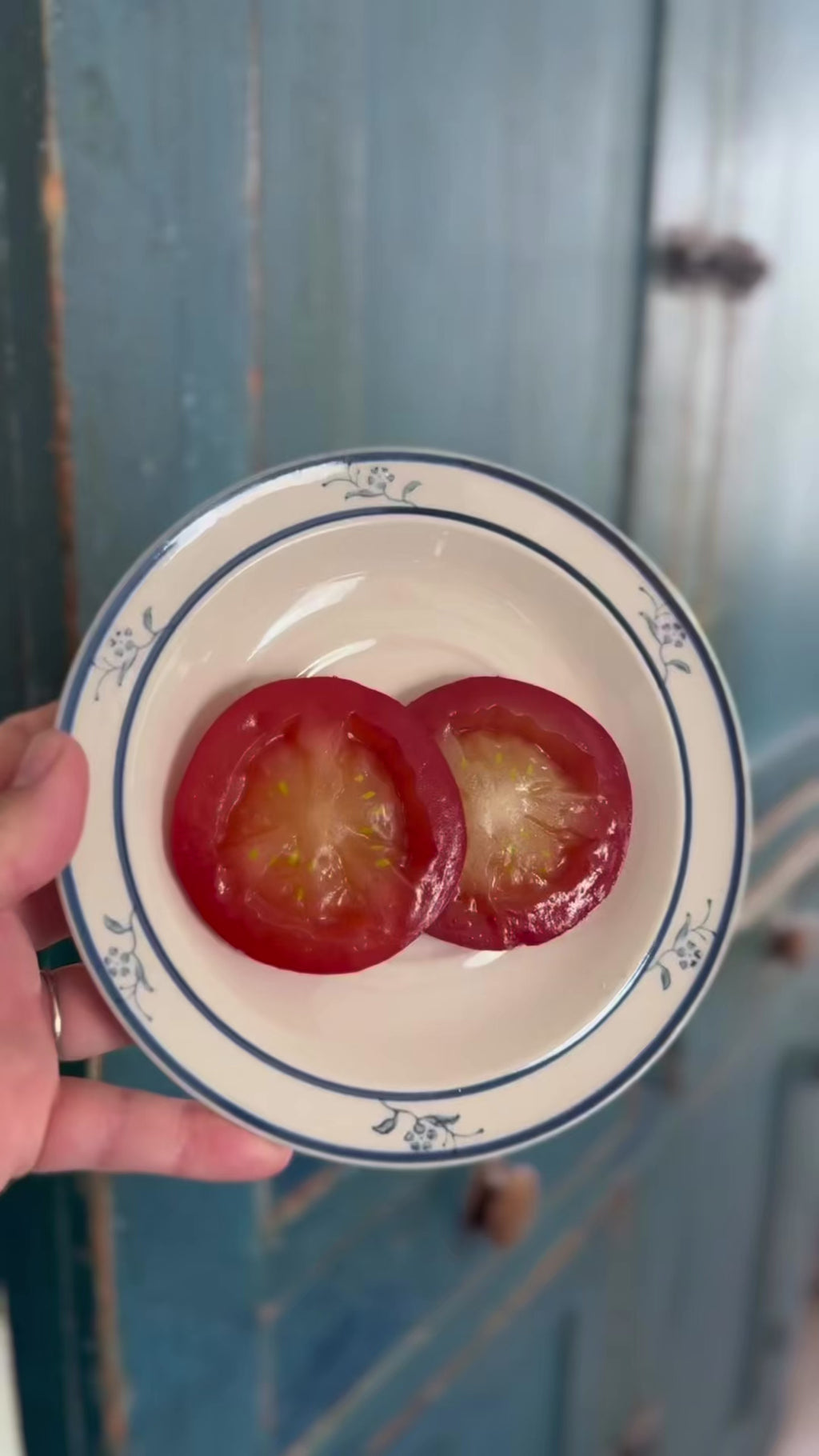 Tomato Slices- Fake Food Plate